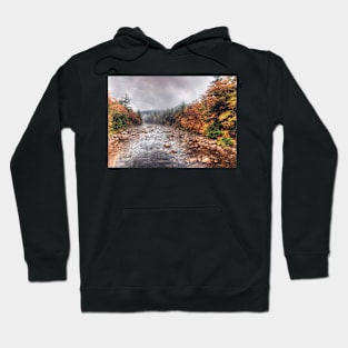 Swift River Autumn Hoodie